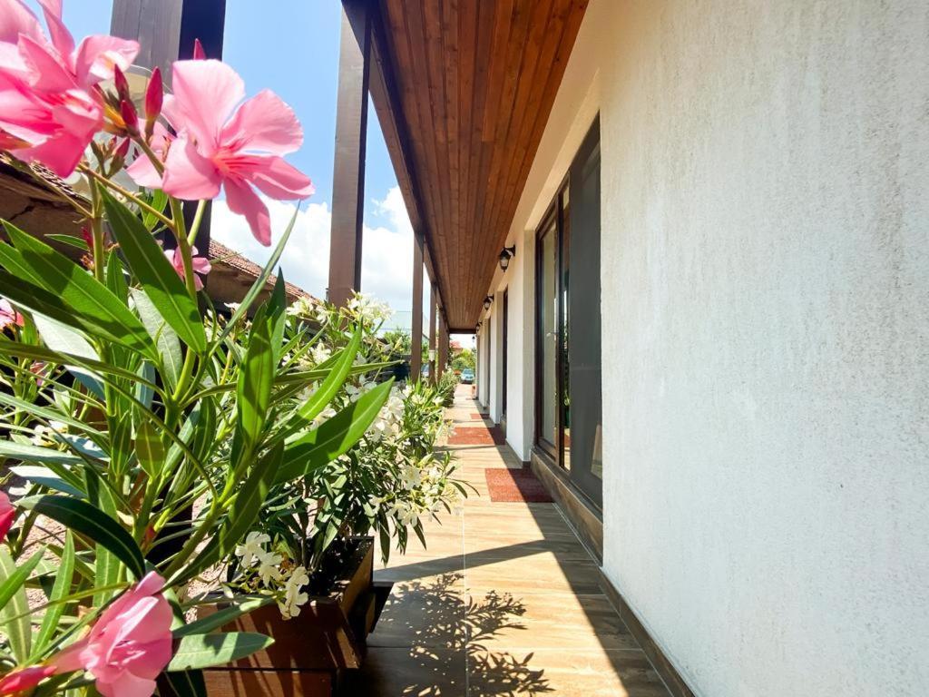 Casa Mura 2 Mai Luaran gambar